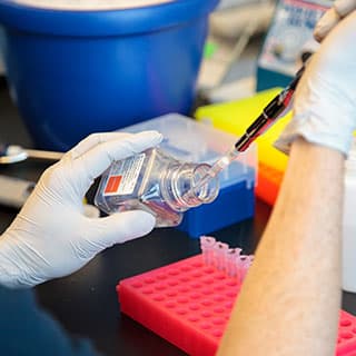 Postdoctoral researcher Romain Bouziat from the Department of Medicine at the University of Chicago Celiac Disease Center