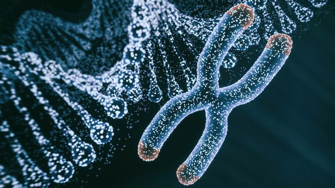 illustration of chromosome and helix