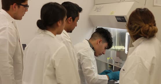 medical student education