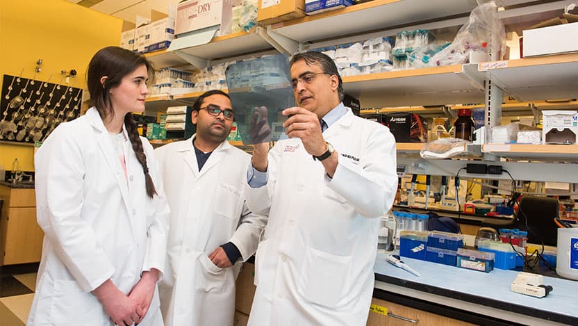 Anne Kelley, BS, Kiranj Chaudagar, PhD, and Akash Patnaik, MD, PhD, MMSc