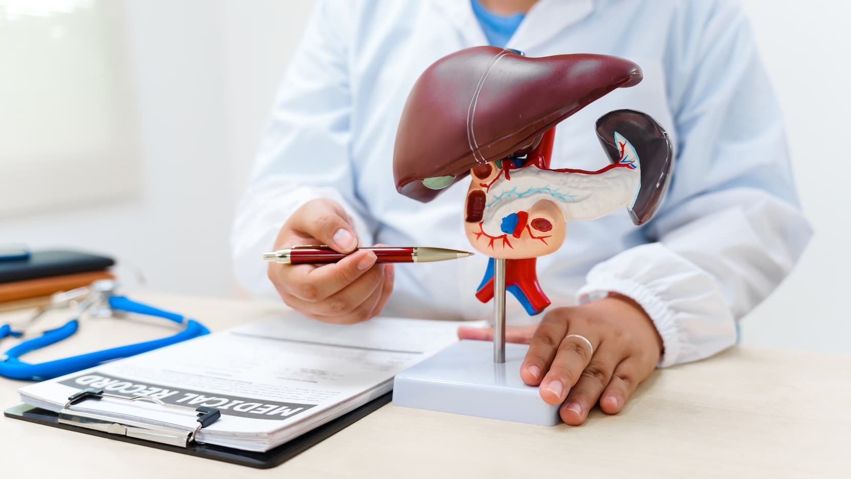 doctor pointing at liver diagram