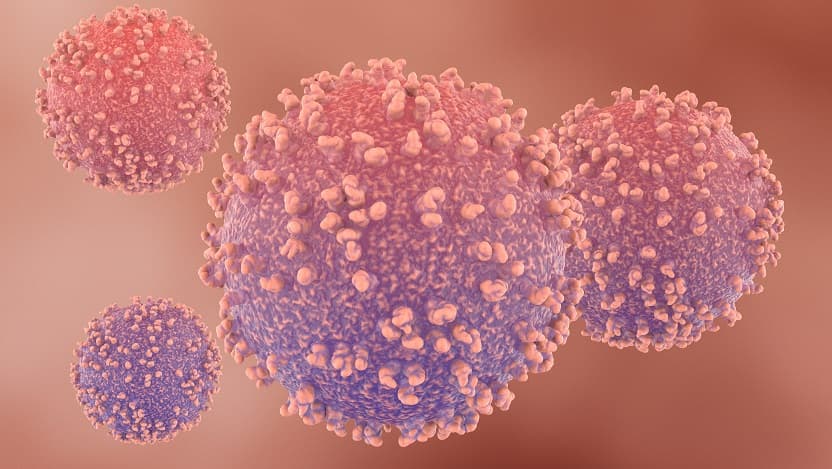 Graphic illustration of lymphocytes, which look like purple blobs with rough dotted surfaces