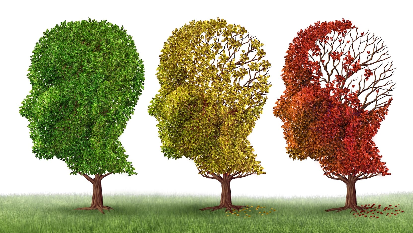 trees shaped like heads with colors and leaves fading