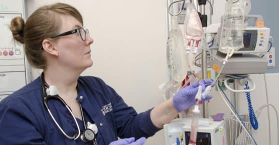 Stem cell transplant nurse