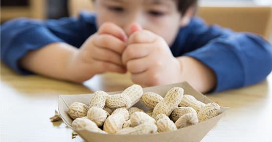 Image of child opening a peanut