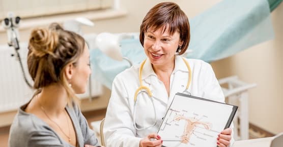 physician showing diagram of female reproductive system