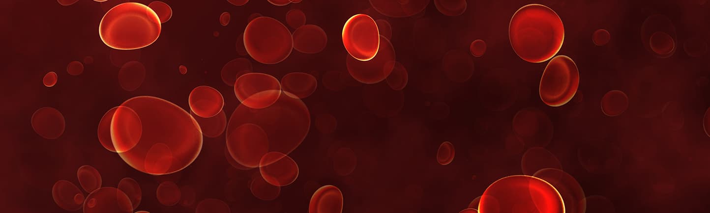 Blood cells traveling through a vein
